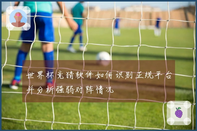 世界杯竞猜软件如何识别正规平台并分析强弱对阵情况